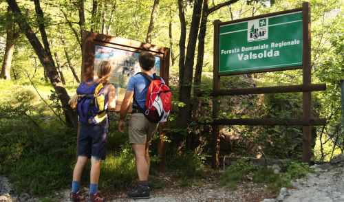 Immagine per il contenuto "Attività sportiva in montagna nella Fase 2: i consigli dell'UNCEM"