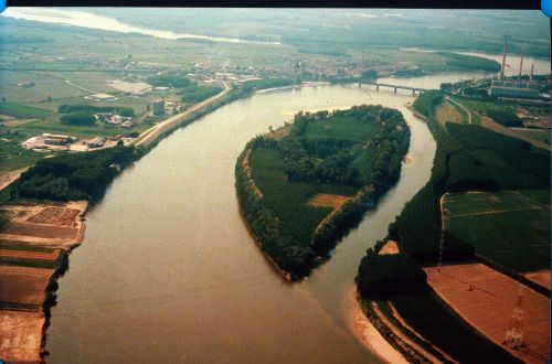 Immagine per il contenuto "Passeggiata nella Riserva Naturale Isola Boschina"