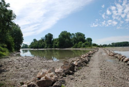 Immagine per il contenuto "R...estate in Boschina"