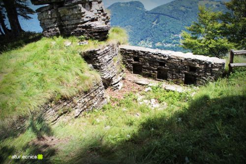 Immagine per il contenuto "Alla scoperta della Frontiera Nord sul Sasso Gordona"
