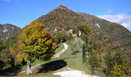Immagine per il contenuto "L'Osservatorio Ornitologico Regionale a Passo di Spino su Geo&Geo"