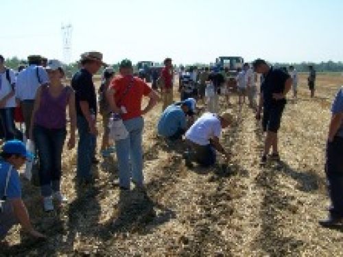 Immagine per il contenuto "Giornata dimostrativa in campo di Agricoltura conservativa"