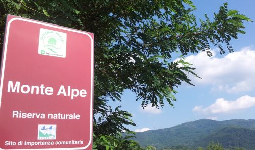 Immagine per il contenuto "Estate nella Riserva Naturale Monte Alpe (PV)"