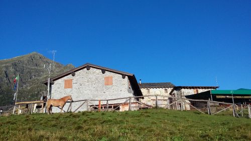 Immagine per il contenuto "Festa Alpe Legnone - Val Lesina (SO)"