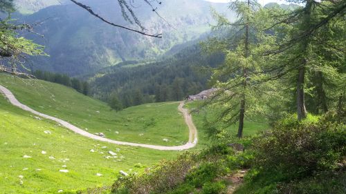 Immagine per il contenuto ""Mercato agricolo in quota""