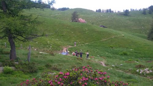 Immagine per il contenuto "Seminario - Val Grigna (BS)"