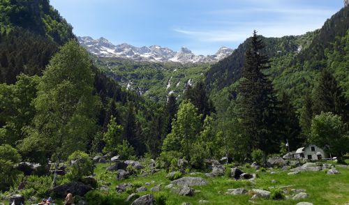 Immagine per il contenuto "Foreste di Lombardia: pubblicato il Rapporto annuale delle attività di gestione e monitoraggio"
