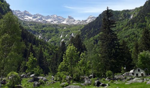 Immagine per il contenuto "Rapporto annuale delle Foreste di Lombardia 2020"