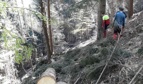 Immagine per il contenuto "Foresta Regionale Val Lesina (SO)"