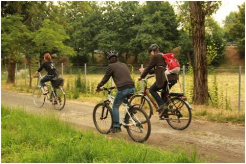 Immagine per il contenuto "Biciclettata"
