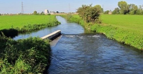 Immagine per il contenuto "LIFE IP GESTIRE 2020 – Mantenere e incrementare le connessioni ecologiche in attuazione della Rete Ecologica Regionale"