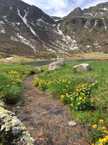 Immagine per il contenuto "Programma eventi 2018 - Alpe Vaia (BS)"