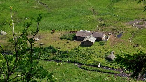 Immagine per il contenuto "UNA GIORNATA IN MALGA"