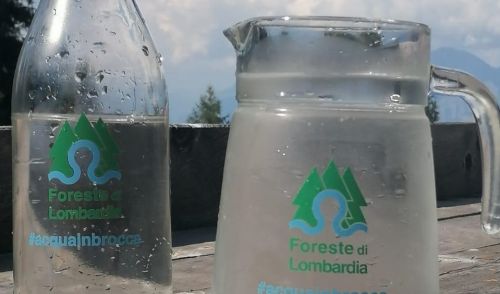Immagine per il contenuto "Imbrocca l’acqua di bosco!"