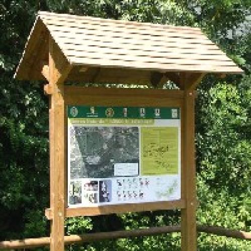 Immagine per il contenuto "Concerto musicale - Riserva Naturale Bosco dei Bordighi (SO)"