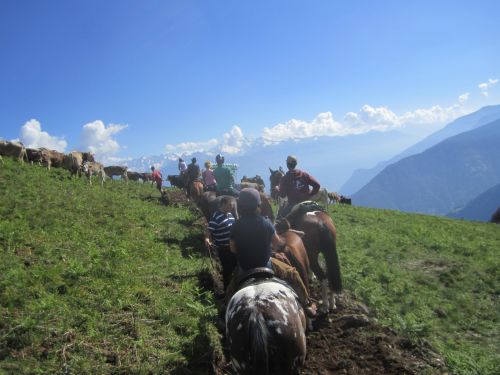 Immagine per il contenuto "Trekking a cavallo in Val Gerola (SO)"