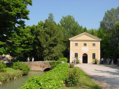 Immagine per il contenuto "Concerto Foresta Carpaneta (MN)"