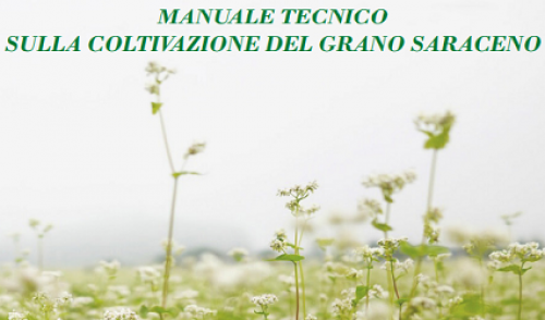 Immagine per il contenuto "Pubblicato il Manuale tecnico sulla coltivazione del grano saraceno "