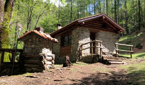 Immagine per il contenuto "Dalla teoria alla (buona) pratica: come l'Europa aiuta la montagna lombarda"