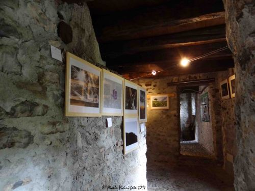 Immagine per il contenuto "Mostra del Concorso fotografico Monte San Primo, Natura e Cultura del Triangolo Lariano - Foresta Corni di Canzo (CO)"