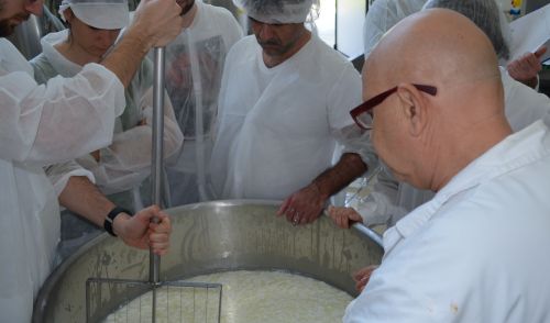 Immagine per il contenuto "2°Corso operatore casaro d'alpeggio e per caseifici aziendali"