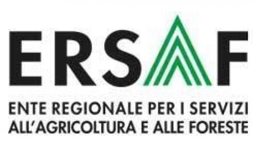 Immagine per il contenuto "Avviso pubblico di mobilità esterna per passaggio diretto tra pubbliche amministrazioni"