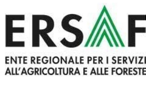 Immagine per il contenuto "Ecco come raggiungere il personale ERSAF attivo in smart working "