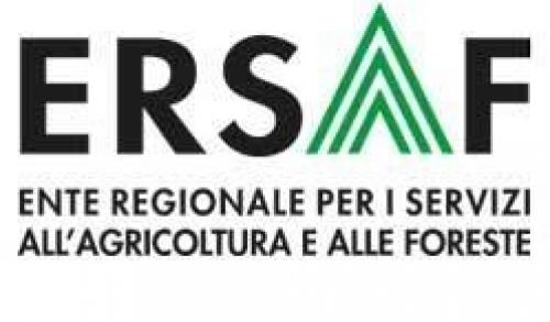 Immagine per il contenuto "Avviso pubblico di mobilità esterna per passaggio diretto tra pubbliche amministrazioni "