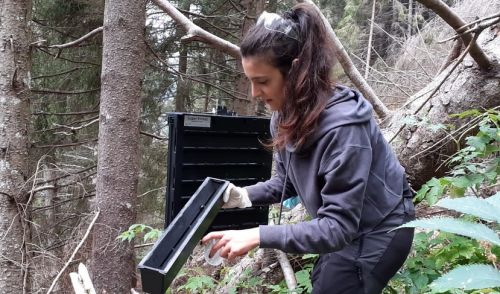 Immagine per il contenuto "Complimenti alla nostra tirocinante Elisa Centamore "
