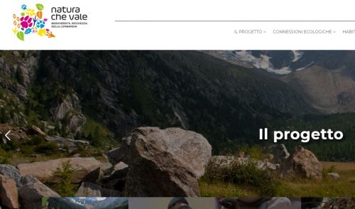 Immagine per il contenuto "Life IP Gestire 2020 - Iscriviti alla nuova newsletter del progetto "