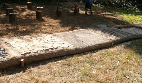 Immagine per il contenuto "Novità nella Riserva Naturale Isola Boschina di Ostiglia (MN)"