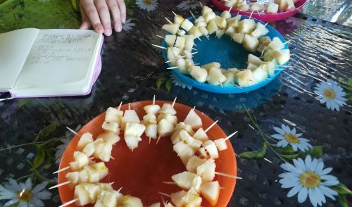 Immagine per il contenuto "Aperto bando per la selezione di progetti di educazione agro-alimentare"
