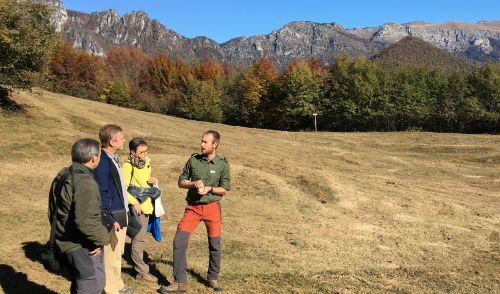 Immagine per il contenuto "Foreste di Lombardia:"