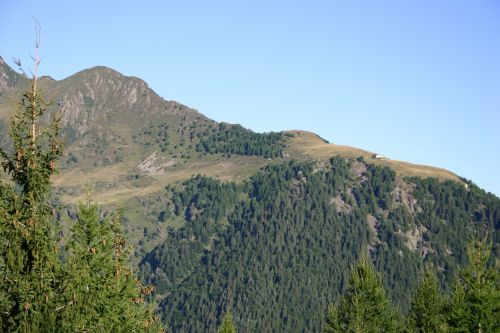 Immagine per il contenuto "Percorso turistico gastronomico Val Lesina e Val Gerola (SO)"