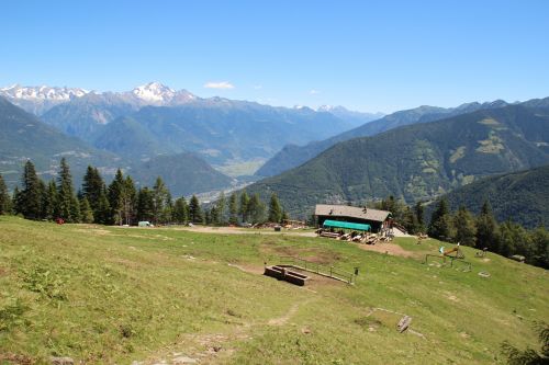 Immagine per il contenuto "Festa dell'Alpe Culino - Foresta Val Gerola (SO)"