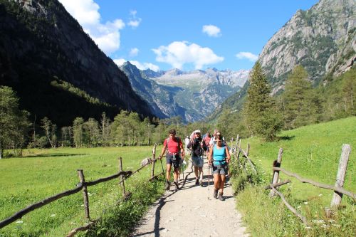 Immagine per il contenuto "Visita guidata all'Alpe Zocca"