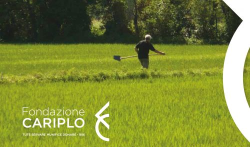 Immagine per il contenuto "IL VALORE DELLA NATURA - Esperienze dalle comunità di pratica del bando Capitale Naturale"
