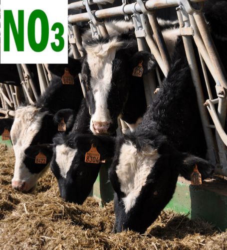 Immagine per il contenuto "Deroga Nitrati: istruzioni per l'uso - Mantova"