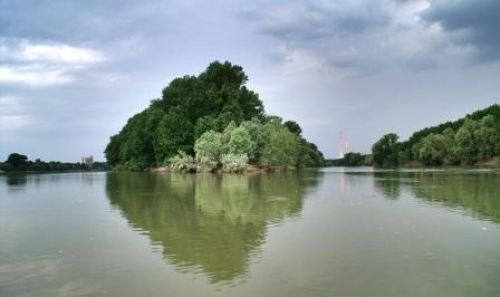 Immagine per il contenuto "Festa d'autunno - Riserva Naturale Isola Boschina "