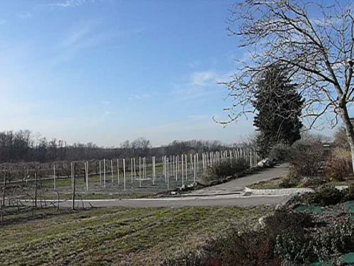 Immagine per il contenuto "Convegno: "La sfida della sostenibilità e le nuove politiche europee""