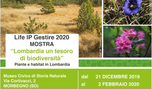 Immagine per il contenuto "Life IP Gestire2020 - Arriva anche a Morbegno la mostra "Lombardia un tesoro di biodiversità""