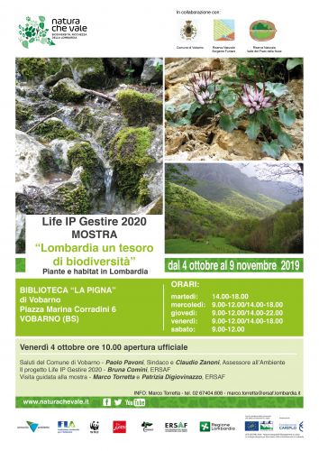 Immagine per il contenuto "Life IP Gestire 2020: aprirà in Val Sabbia (BS) la mostra "Lombardia un tesoro di biodiversità""