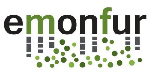 Immagine per il contenuto "workshop EMoNFUr “I servizi ecosistemici e le foreste urbane”"
