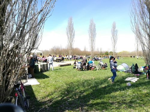 Immagine per il contenuto "Festa nella Foresta Carpaneta (MN)"