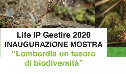 Immagine per il contenuto "Life IP Gestire 2020 - Inaugurazione della mostra “Lombardia un tesoro di Biodiversità”"