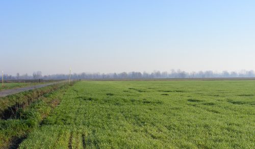 Immagine per il contenuto "Il 30 ottobre 2020 torna il Bollettino Nitrati"