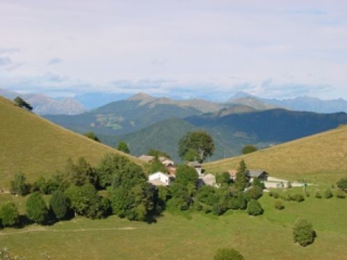 Immagine per il contenuto "Alpeggi in Festa a ORticulturIMENTO - Foresta Monte Generoso (CO)"