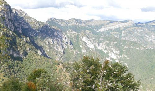 Immagine per il contenuto "Capitale naturale lombardo:"