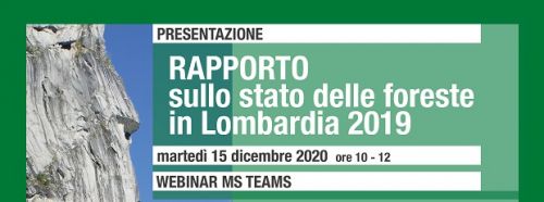 Immagine per il contenuto "Presentazione del Rapporto sullo stato delle foreste in Lombardia 2019 "