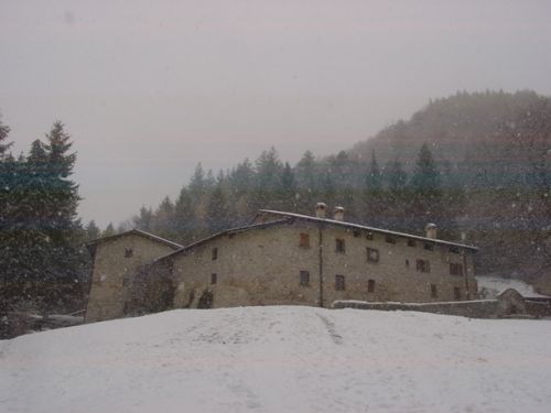 Immagine per il contenuto "Il bosco scende in paese - Foresta Corni di Canzo (CO)"